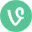 my vine